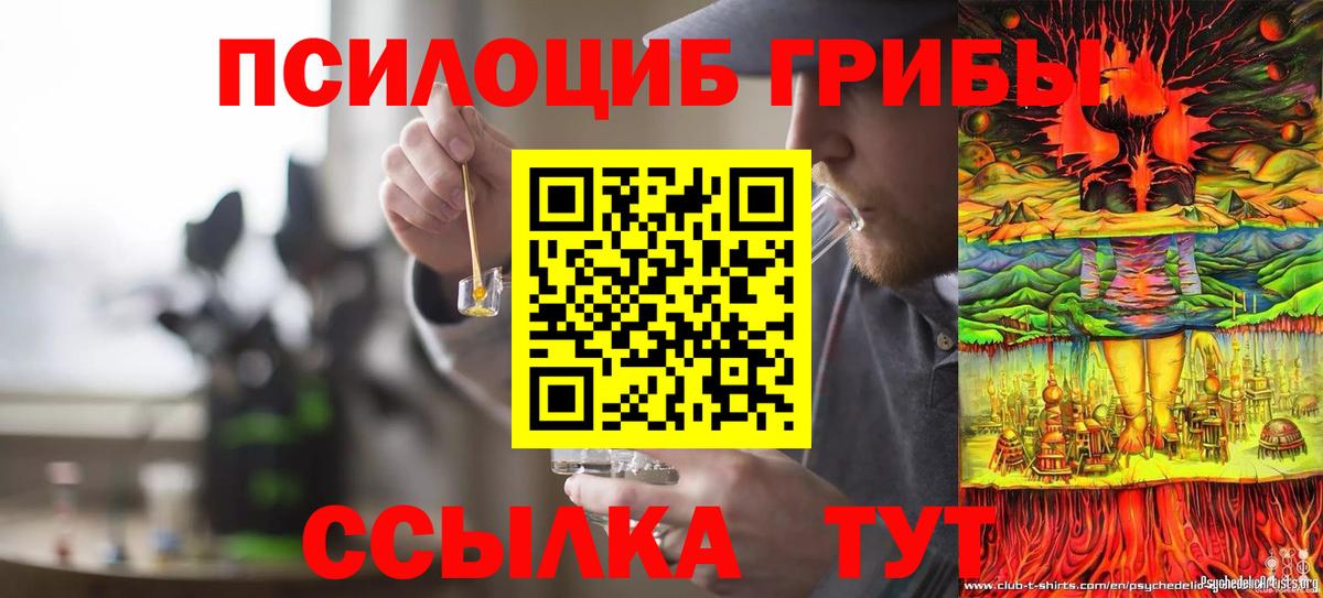 Псилоцибиновые грибы мухоморы  закладка  Вход с VPN  Бузулук  Галлюциногенные грибы GOLDEN TEACHER 